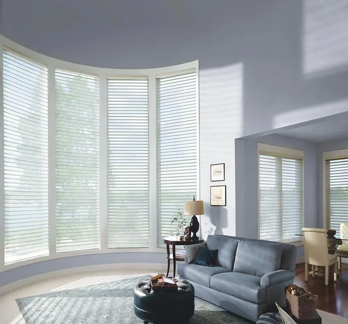 Window coverings in a modern living room